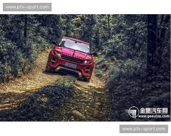 预测山地车：用智能与直觉征服每一条山路