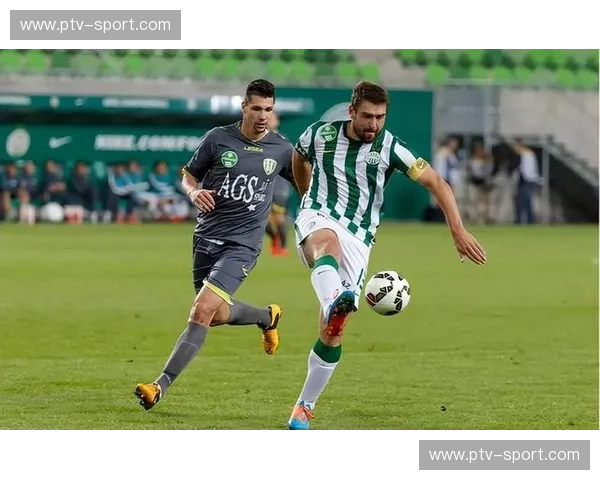 马尔默的蓝色风暴，赫根的绿色希望——北欧足球的激情碰撞