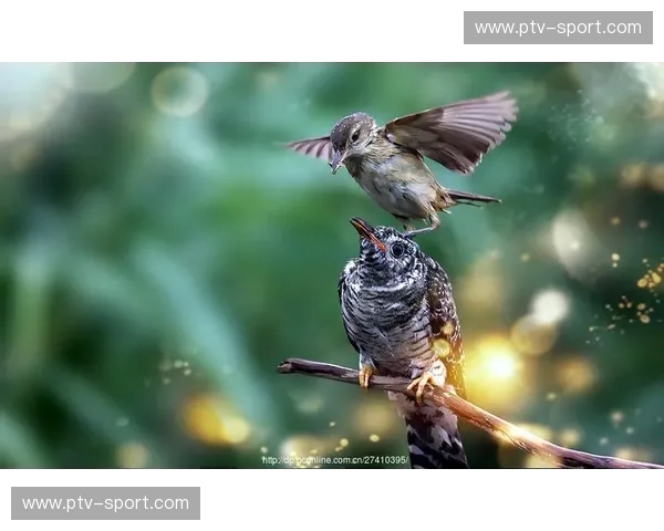 烟火人间，山河竞秀：一场关于湖南与浙江的味蕾与心灵的对话